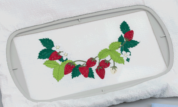 EF71 Cadre de broderie 17 x 10 cm