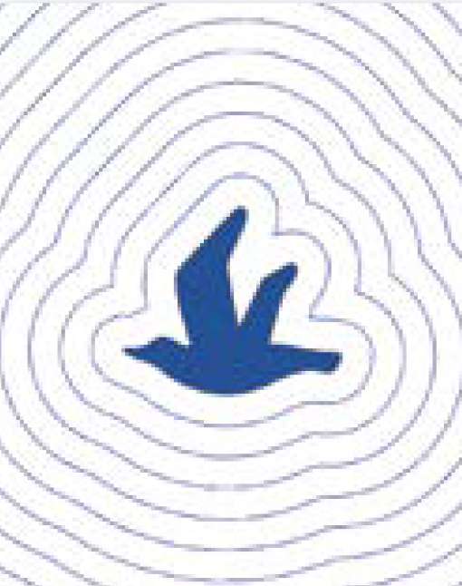 Quilting en Echo